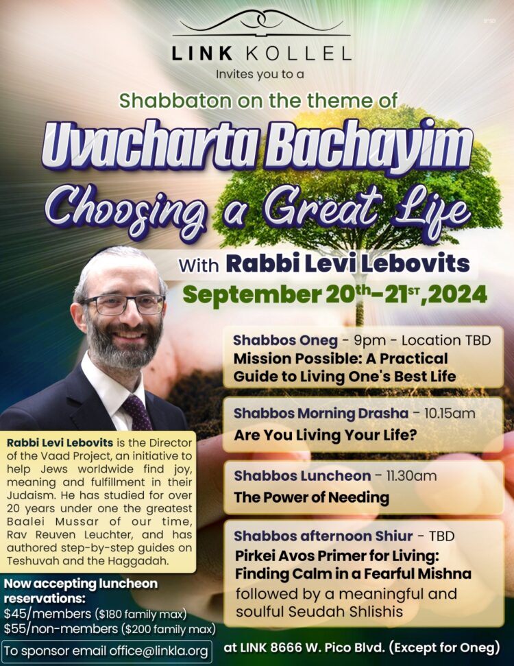 LINK Shabbaton with Levi Lebovits September 20th - flyer